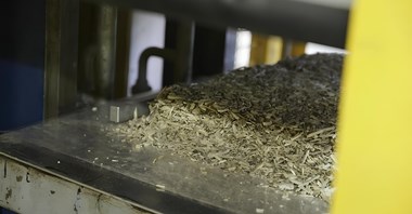 Polscy naukowcy pracują nad materiałami budowlanymi z roślin. Wykorzystają konopie? 