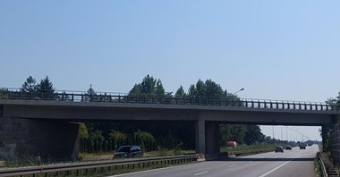Dolny Śląsk. Ciężarówka uszkodziła wiadukt nad A4
