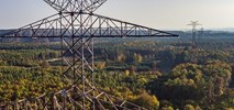 Rozwój technologii w energetyce tylko przy wsparciu państwa