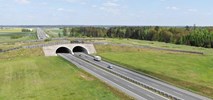 Na S8 koło Oleśnicy jedną jezdnią 