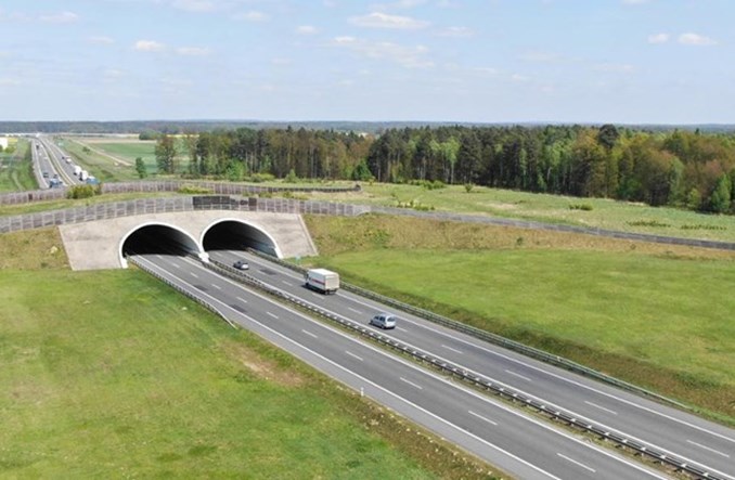 Na S8 koło Oleśnicy jedną jezdnią 