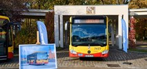 Wrocław. MPK z zamówieniem od Mercedesa na kolejnych 100 autobusów