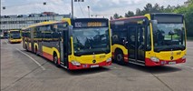 Wrocław. Solaris, Mercedes i Man w przetargu MPK na 200 nowych autobusów