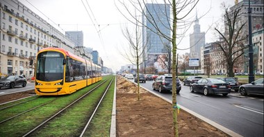 Pierwsze drzewa wzdłuż torowiska na Marszałkowskiej już posadzone