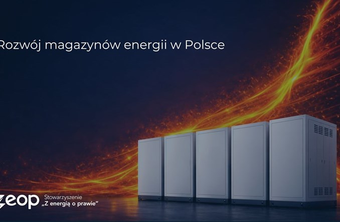 Magazyny energii to filar stabilnego systemu elektroenergetycznego