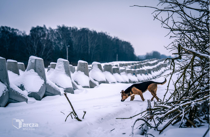 Tarcza Wschód w 2026 roku zabezpieczy ponad 200 km granicy