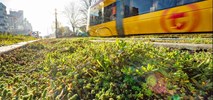 Tramwaje Warszawskie zapowiadają przebudowę trasy do Gocławka 