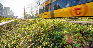 Tramwaje Warszawskie zapowiadają przebudowę trasy do Gocławka 