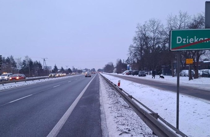 Szykują się do budowy S7 niedaleko Warszawy. Rusza wycinka drzew