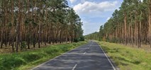 Lubuskie. Planują przebudowę drogi w kierunku Jeziora Sławskiego 