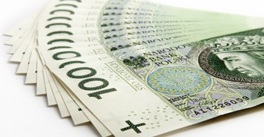 Partnerstwo publiczno-prywatne: samorządy największymi beneficjentami 