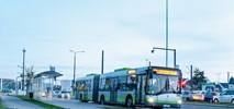 Olsztyn wybiera firmę, która zaplanuje rozwój komunikacji i tramwajów