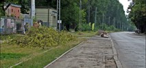 Łódź. Jest przetarg na Srebrzyńską – definitywny koniec krańcówki Koziny