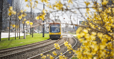 Warszawa wyremontuje torowisko na Towarowej. Będą zmiany dla kierowców i pasażerów