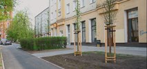 Łódź. Lutomierska dzięki remontowi zyskała więcej zieleni (zdjęcia)