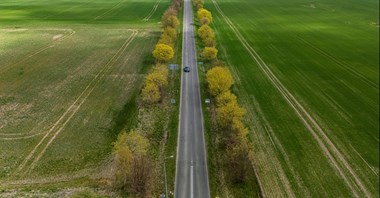 Siedmiu chętnych przebudować drogę na trasie Świnoujście – Kołobrzeg