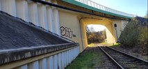 Podkarpackie. Są oferty na remont wiaduktu kolejowego przy DK-84