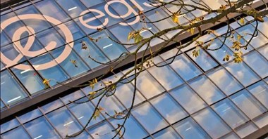 Renata Mordak prezesem Egis w Polsce