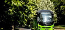 Linia 666 na Hel – FlixBus uruchamia sezonowe połączenia na Półwysep Helski 