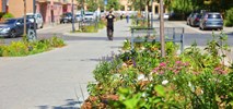 Łódź. Miasto przypomina o zielonych zakątkach w centrum (zdjęcia)