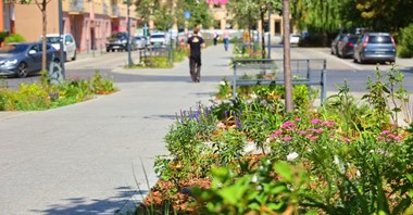 Łódź. Miasto przypomina o zielonych zakątkach w centrum (zdjęcia)