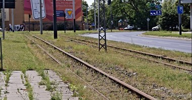 Łódź. Otwarcie ofert na tramwaj na Zielonej i Legionów. Znów duże zainteresowanie branży budowlanej
