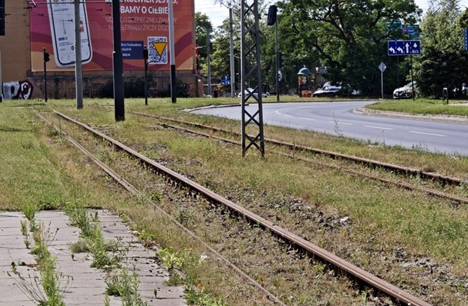 Łódź. Otwarcie ofert na tramwaj na Zielonej i Legionów. Znów duże zainteresowanie branży budowlanej