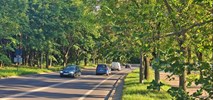 Łódź. Uniwersytet Medyczny o Trasie Konstytucyjna: „Nie ma formalnego porozumienia”