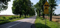 Mazowieckie. Rozbudują drogę na północy województwa