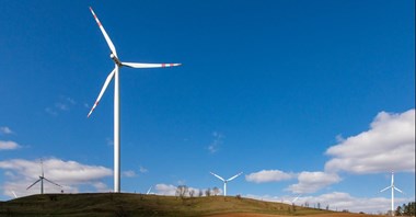 Samorządy stawiają na zieloną energię