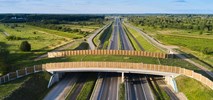 Ruszają prace projektowe dla S74 za Opatowem 