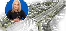 Wolne Tory w Poznaniu. Co dalej z nową dzielnicą miasta?