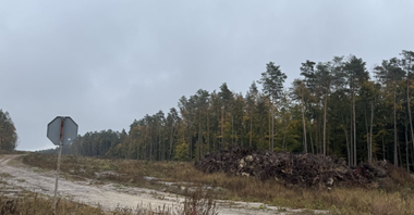 Nie ma poprawy na S17 Zamość – Tomaszów Lubelski
