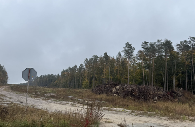 Nie ma poprawy na S17 Zamość – Tomaszów Lubelski