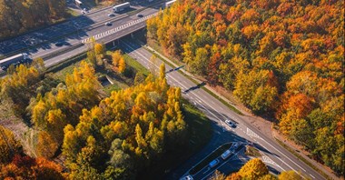 Ważne skrzyżowanie w Chorzowie idzie do przebudowy 