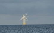 Ministerstwo Środowiska blokuje morskie farmy wiatrowe? 