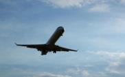 SRT 2020: MIR przyznaje rację, że transportu lotniczego jest za mało