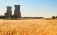 Polskie koncerny myślą o atomie