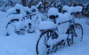 Warszawa odśnieży drogi rowerowe. Przynajmniej w części