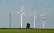 PGE Energia Odnawialna kupi farmę wiatrową w Pelplinie
