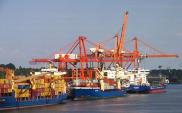 Port Gdynia liderem obsługi zbóż i pasz