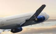 Syntea zdobyła certyfikat szkoleniowy IATA