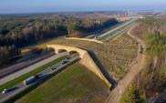 Ile kosztują przejścia dla zwierząt 