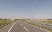 A1. Trochę mniej, ale stoimy w korkach nad morze 