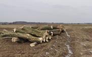 Kontrakt na obwodnicę Łomży zerwany
