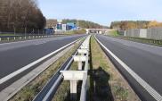 GDDKiA wyciszy hałas od S3 w Zielonej Górze 