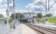 Torpol poprawił marżę. W portfelu zleceń ma 1,4 mld zł