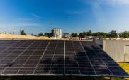 CEMEX Polska inwestuje w energię słoneczną 