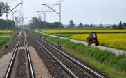 Wielu chętnych na modernizację linii E20