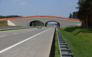 SPC: W Polsce musi być miejsce dla dróg betonowych i asfaltowych